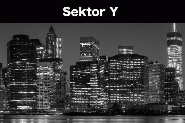 Sektor Y